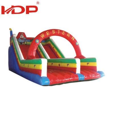 Develop Intelligence Water Park Equipment, Water Park Plastic Slide