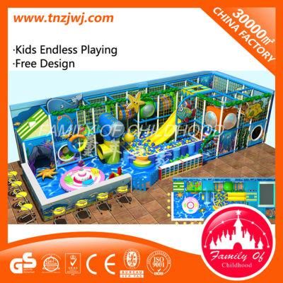 Family of Childhood Ocean Theme Kids Indoor Maze Play Equipment for Sale