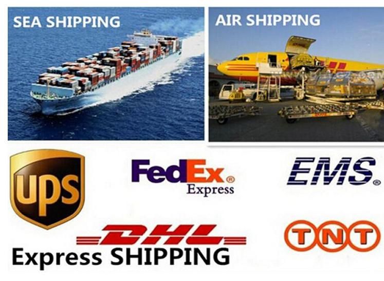 Water Sport Floating Water Pedal Bike Inflatable PVC Banana Ponroon Boat Tube Sea Water Bicycle