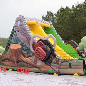 Inflatable Slide