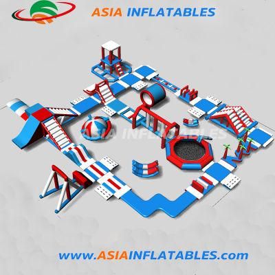 Outdoor Octopus Theme Playground Inflatable Water Park, Commerical Inflatable Water Slide