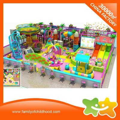 Indoor Playground Equipment Amusement Park for Shopping Mall