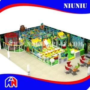 Beautiful Naughty Castle Indoor Playground Equipment for Kid