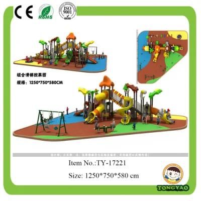 Latest Park Outdoor Playground Equipment (TY-17221)