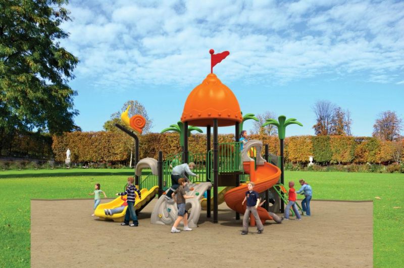 Small Outdoor Playground with Double Slide (TY-9024C)