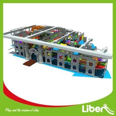 Castle Theme Large Kids Indoor Play Center with Slides