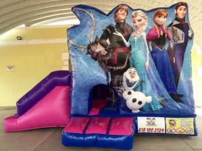 2019 New Inflatable 5 in 1 New Jumping Frozen Bouncer