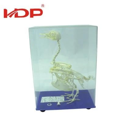 China Manufacture New Design Montessori Educational Toys