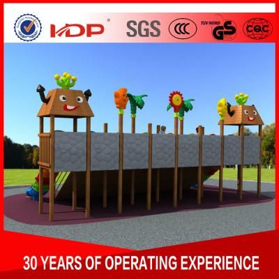 Children Kids Wooden Outdoor Playground with Certificate Wooden Park