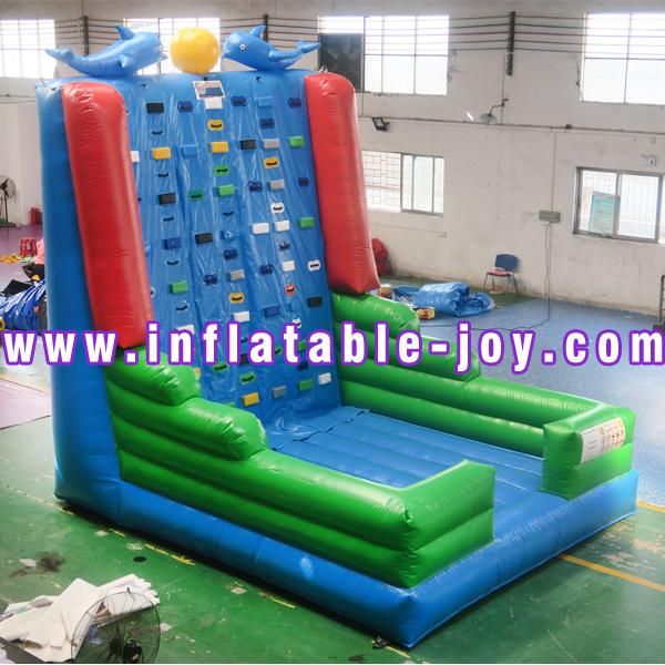 Water Park Inflatable Climbing Wall