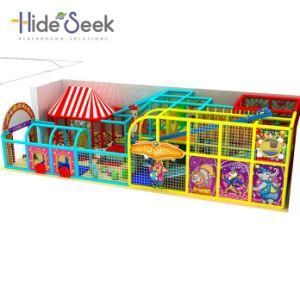 Circus Troup Theme Children Indoor Playground for Sale