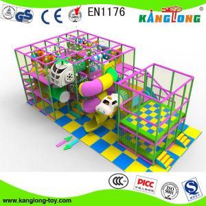 Trustworthy Indoor Playground Manufacturer (2011-148E)