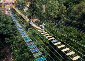 New Design Hot Sale Amusement Rides Glass Suspension Bridge for Park Suspended Glass Bridge for Scenic Spot