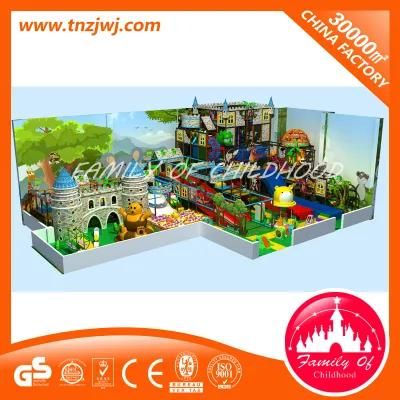 Naughty Castle Commercial Children Indoor Playground