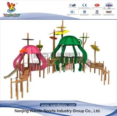 Wandeplay Amusement Park Children Outdoor Playground Equipment with Wd-Dz072