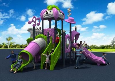 Disneyland Serie Outdoor Kids Slide Park Amusement Equipment