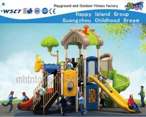 House Type Outdoor Playsets Park Equipment Hf-16203