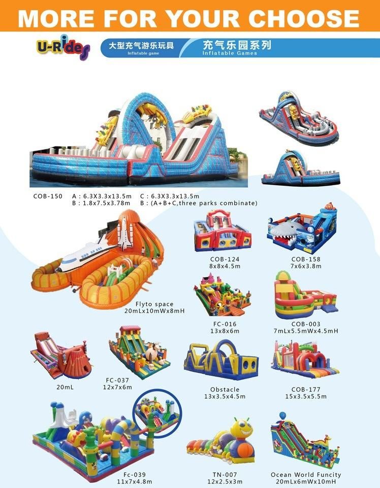 Commercial Grade Amusement Park Inflatable game Water Slide Inflatable Slide for Kids and Adults