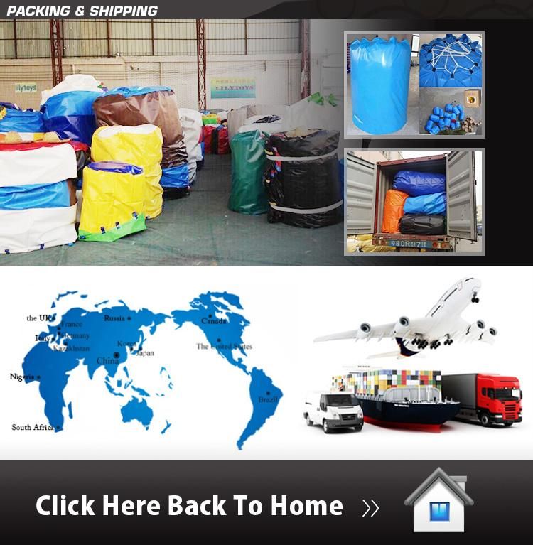 Hot Selling Facotry PVC Type Ice House Inflatable Park with Pool
