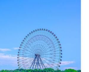 Big Wonder Ferris Wheel Giant Wheel 88 M for Sale