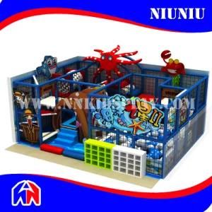 High Quality Indoor Playground with Certificate