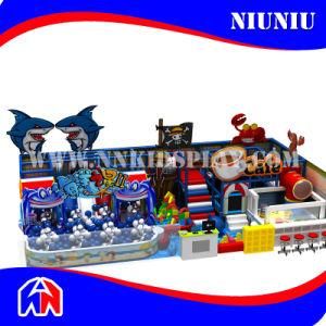 China Largest Manufacturer Indoor Soft Playground