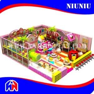 Professional Manufacturer Customized Large Indoor Playground with High Quality