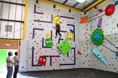 Cheer Amusement Indoor Climbing Structures Rock Climbing Wall Panels for Kids and Adult