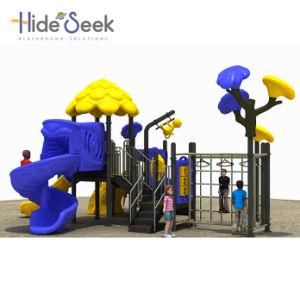 Outdoor Solution Children Playground Equipment for Recreation Center (HS08501)