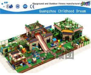 Large Indoor Playground for Kids (H14-00721)