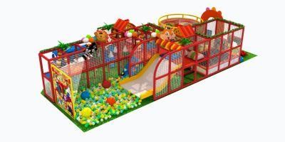 Synthesize Amusement Park Children Indoor Play Ground Equipment and Various Toy