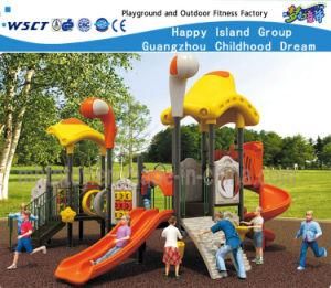 Hat Feature Outdoor Playground Equipment for Backyard Hf-14501