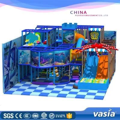 Vasia Larger Playground Indoor Children Play Park Commercial Playground