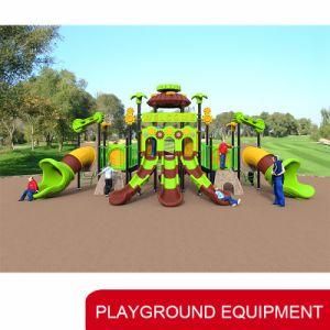 Amusement Park Commercial Outdoor Playground of Ce TUV Certificate