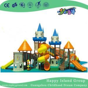 Castle Series Commercial Playground Equipment with Slide (HF-15701)