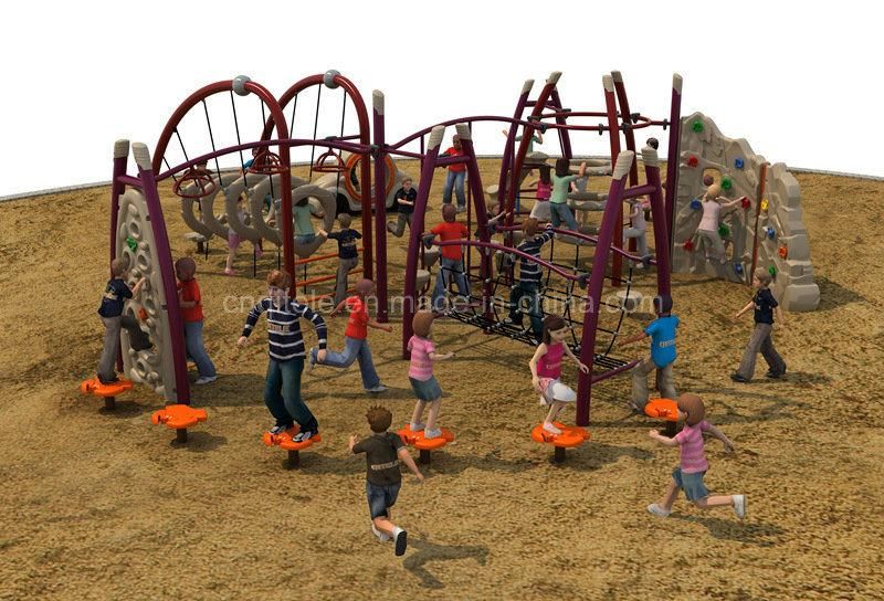 Physical Exercise Outdoor Playground Equipment (RP-20201)