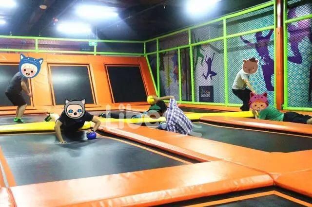 Professional Large Jumpsport Fitness Trampoline