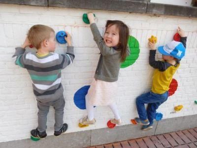 Indoor and Outdoor Mounting Children Hand Feet Holds Rock Climbing