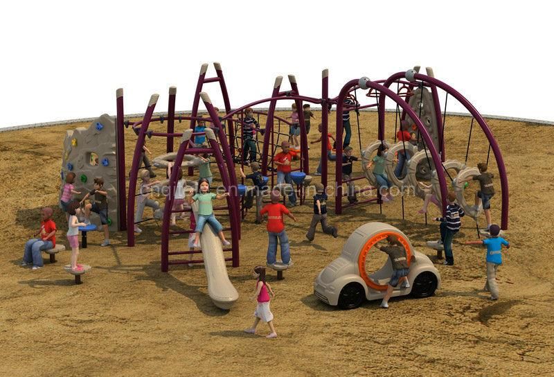 Physical Exercise Outdoor Playground Equipment (RP-20201)