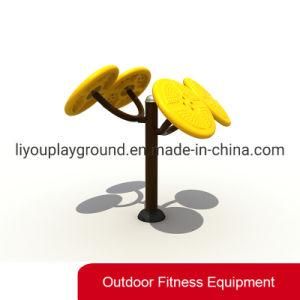 New Galvanized Outdoor Fitness Equipment with Taichi Spinner
