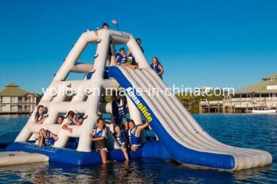 Inflatable Jungle Joe Ladder Climbing Water Slide for Floating Water Park
