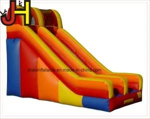 Outdoor Playground Giant Inflatable Water Slide for Amusement