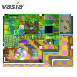Competitive Price Commercial Vasia Indoor Playground Equipment