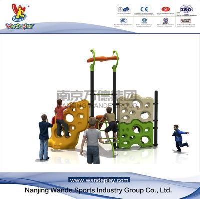 Amusement Park Kids Toy Children Toys Outdoor Playground Equipment for Wd-Tn0604