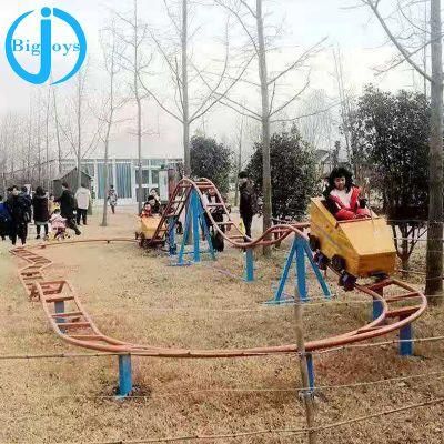 Children Park Riding Roller Coaster, Parent Child Activities Equipments for Sale