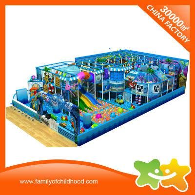 Marine Park Theme Children Commercial Indoor Playground Equipment for Sale