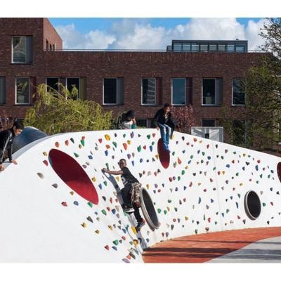 Big Huge Light Weight But Strong Fiberglass Unique Look on Rock Climbing Wall Indoor or Outdoor for Kids Amusement