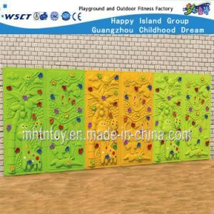 Climbing Playground Series Children Outdoor Playground Equipment Hf-19001