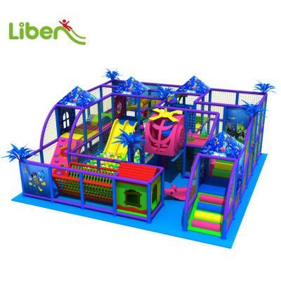 Custom Style Indoor Playground Equipment for Children