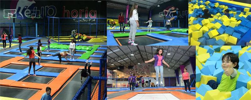 Indoor Gymnastic Trampoline Wholesale Amusement Park Trampoline Jumping Bed